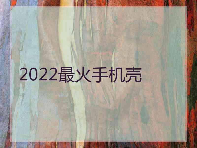 2022最火手机壳