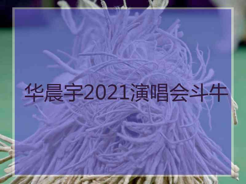 华晨宇2021演唱会斗牛