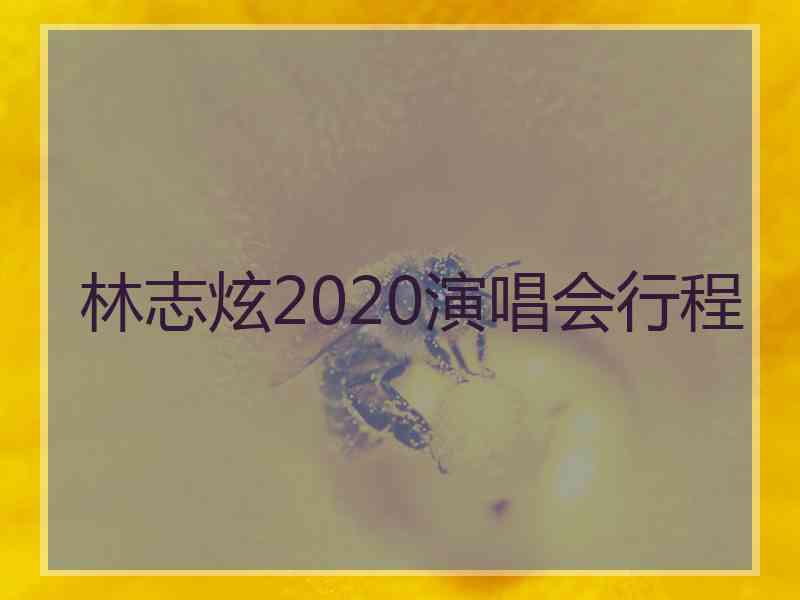 林志炫2020演唱会行程