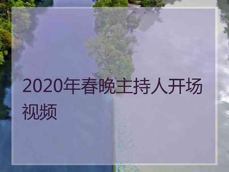 2020年春晚主持人开场视频