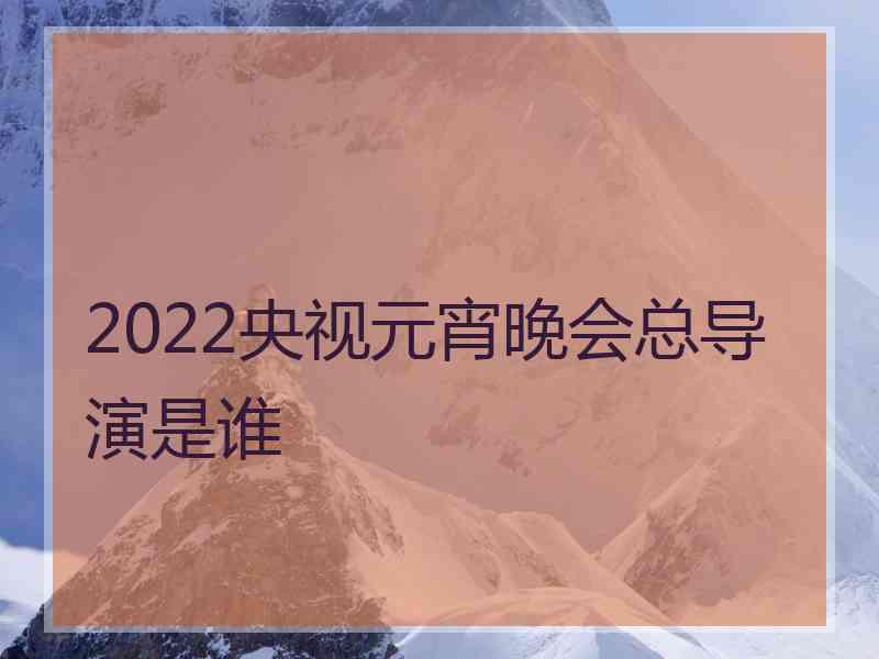 2022央视元宵晚会总导演是谁