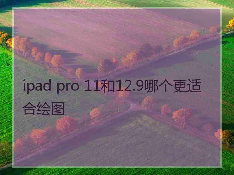 ipad pro 11和12.9哪个更适合绘图