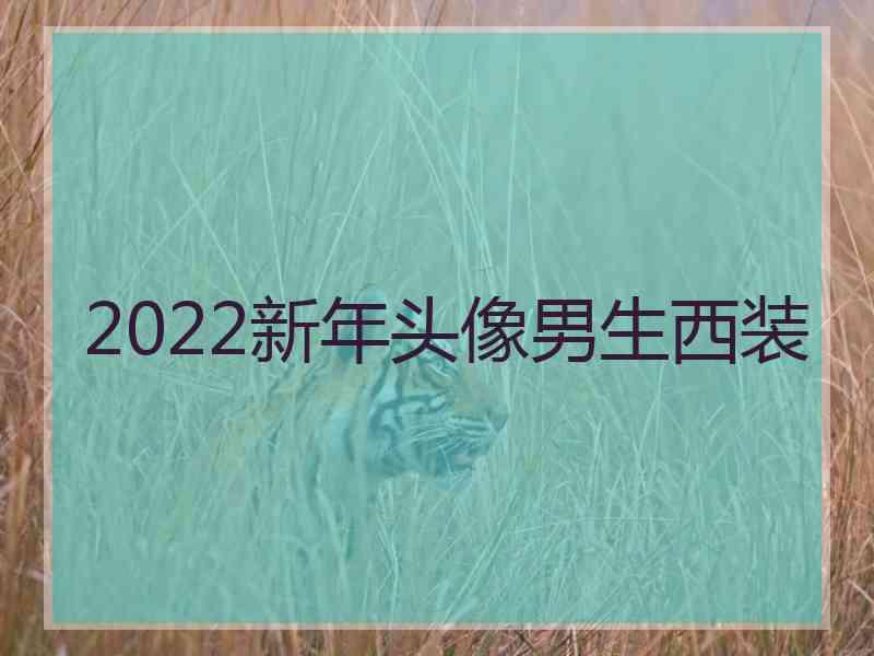 2022新年头像男生西装