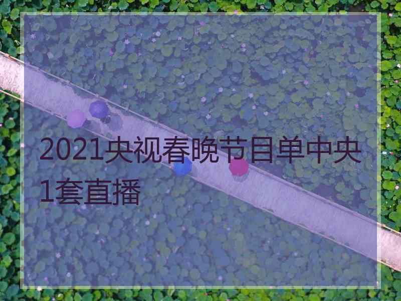 2021央视春晚节目单中央1套直播