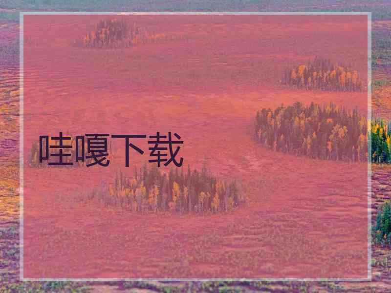 哇嘎下载