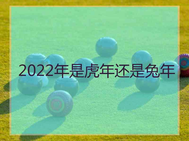 2022年是虎年还是兔年