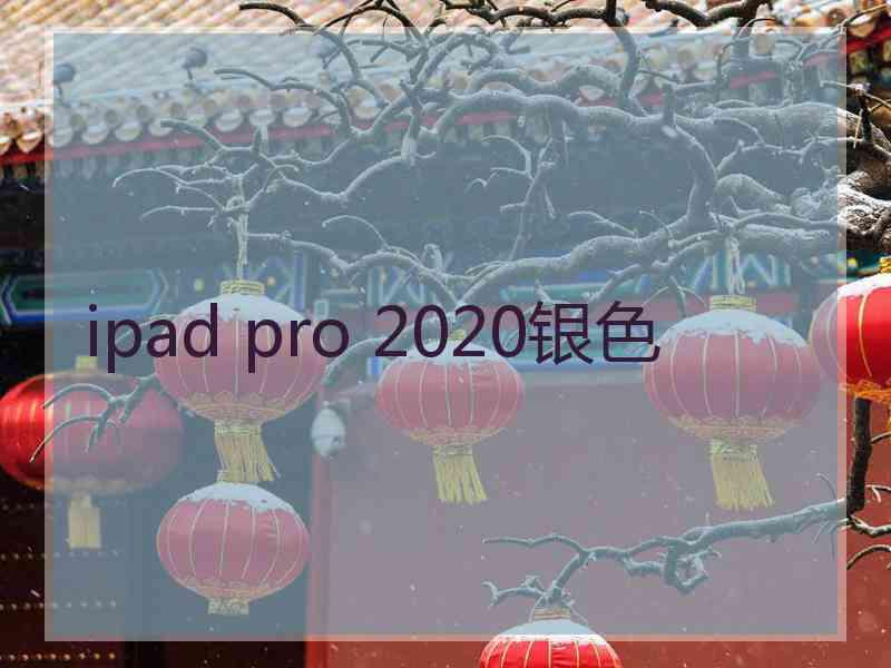 ipad pro 2020银色