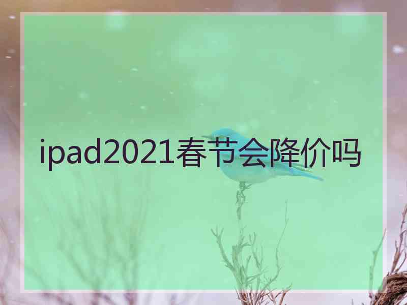 ipad2021春节会降价吗