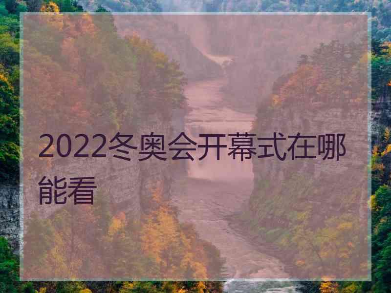 2022冬奥会开幕式在哪能看