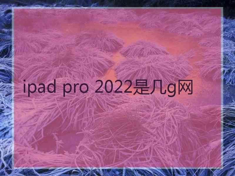 ipad pro 2022是几g网