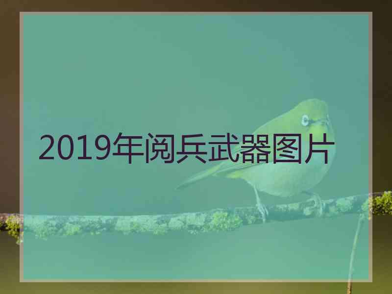 2019年阅兵武器图片