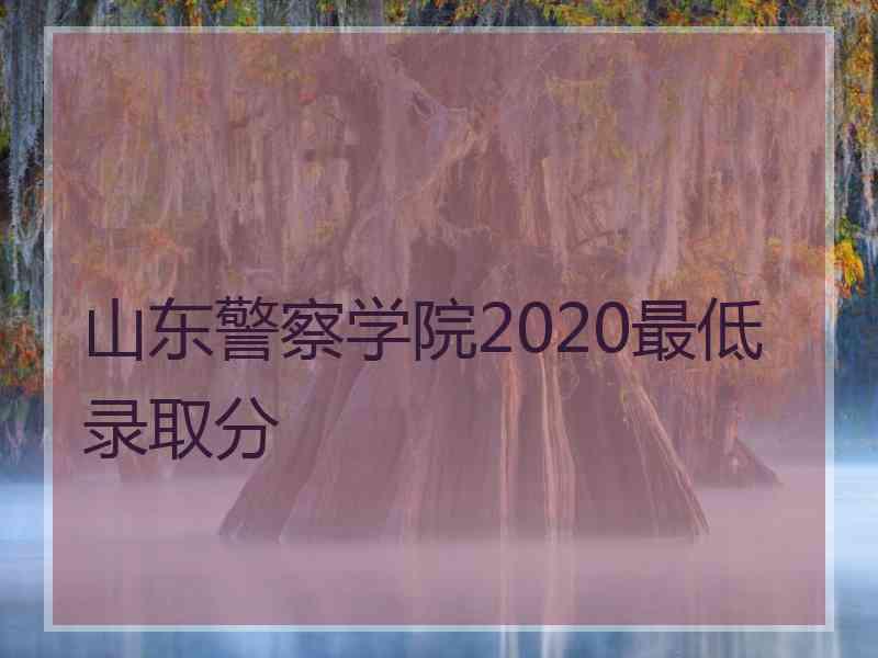 山东警察学院2020最低录取分