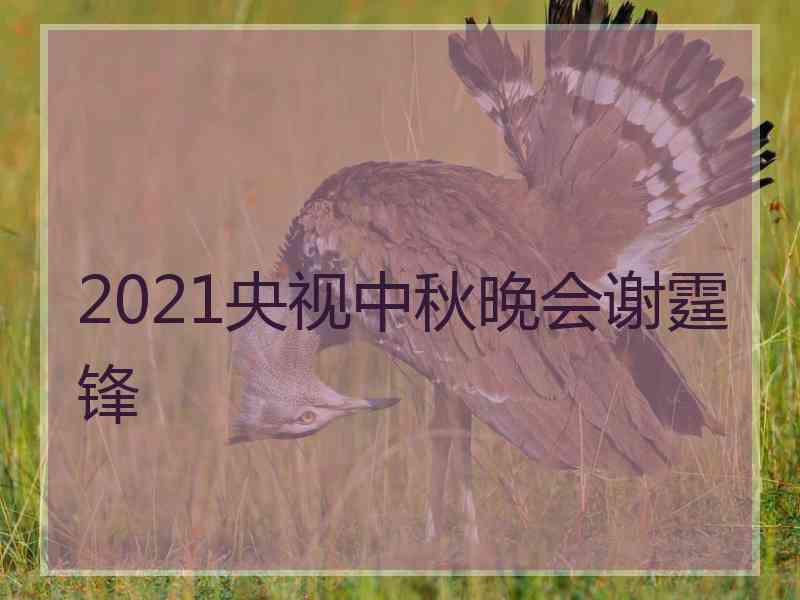 2021央视中秋晚会谢霆锋