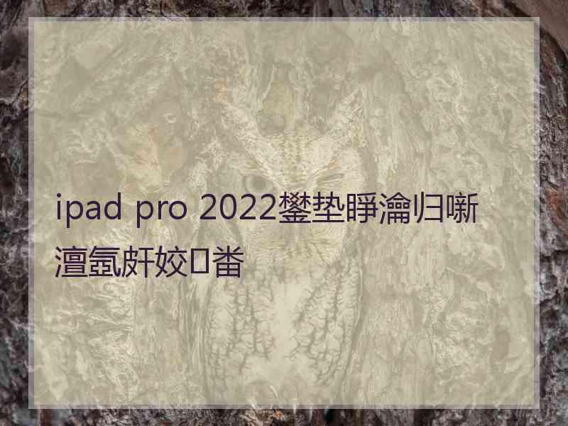 ipad pro 2022鐢垫睜瀹归噺澶氬皯姣畨