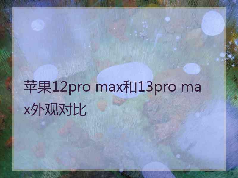 苹果12pro max和13pro max外观对比