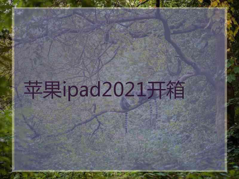 苹果ipad2021开箱