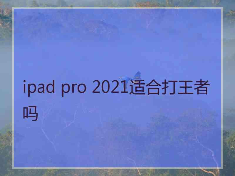 ipad pro 2021适合打王者吗