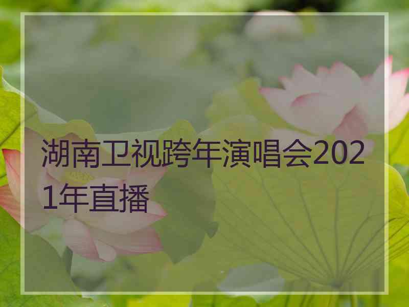 湖南卫视跨年演唱会2021年直播