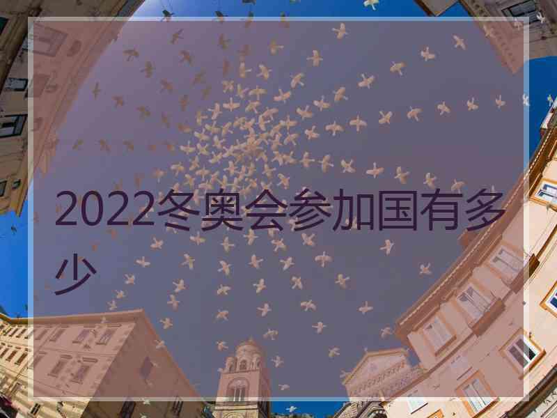 2022冬奥会参加国有多少