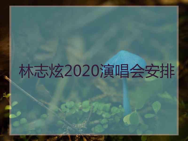 林志炫2020演唱会安排