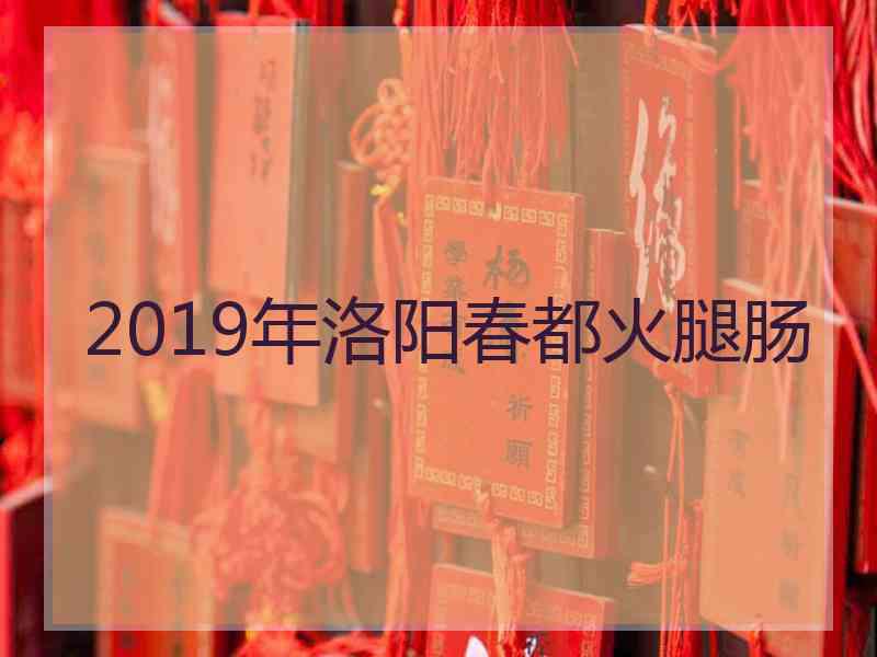 2019年洛阳春都火腿肠