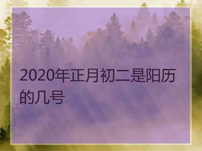 2020年正月初二是阳历的几号