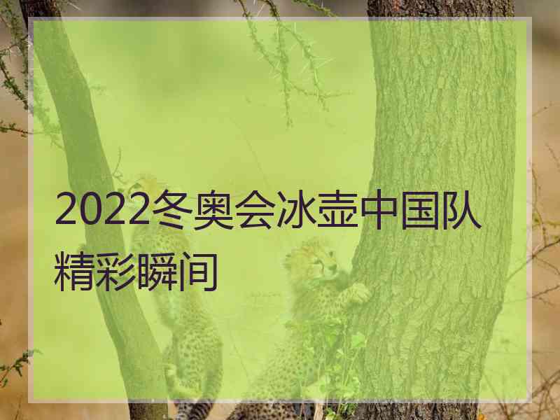 2022冬奥会冰壶中国队精彩瞬间