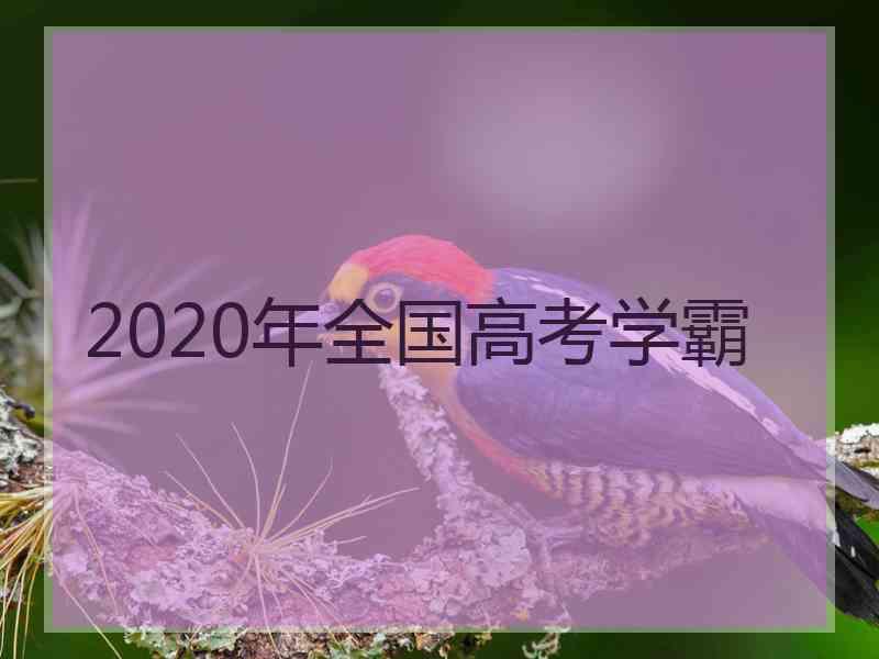 2020年全国高考学霸