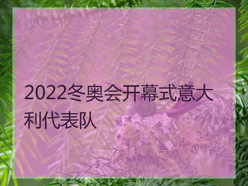 2022冬奥会开幕式意大利代表队