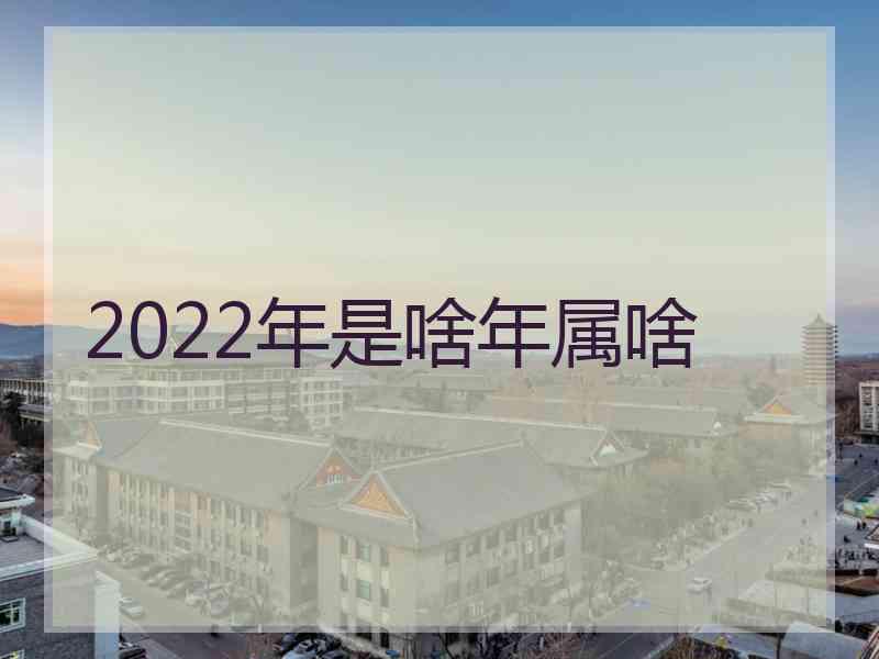 2022年是啥年属啥