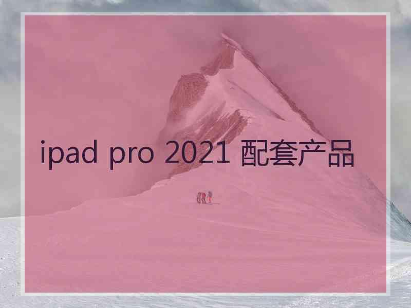 ipad pro 2021 配套产品