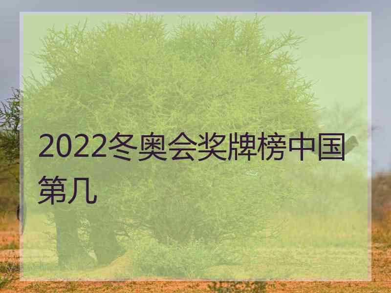 2022冬奥会奖牌榜中国第几