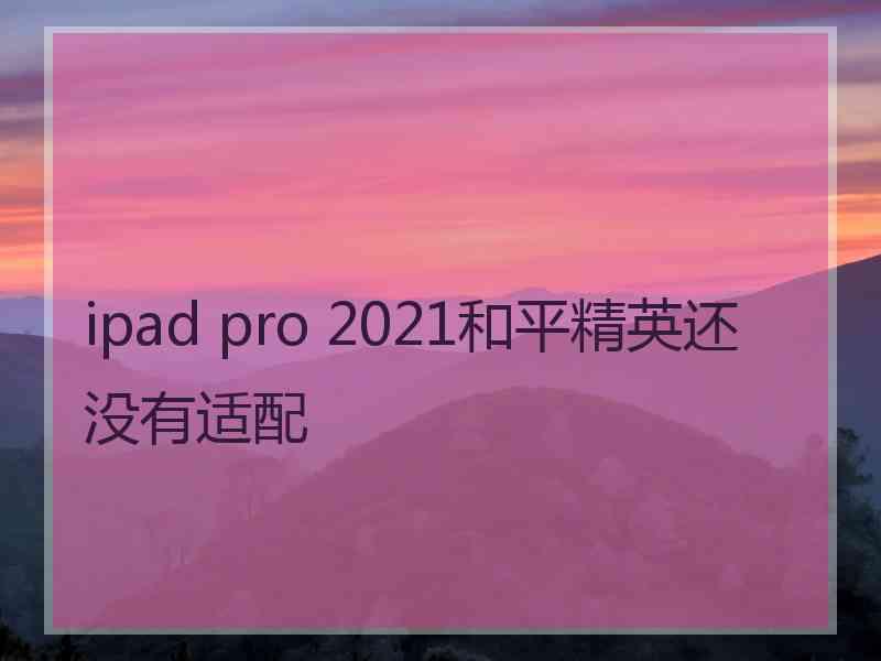 ipad pro 2021和平精英还没有适配