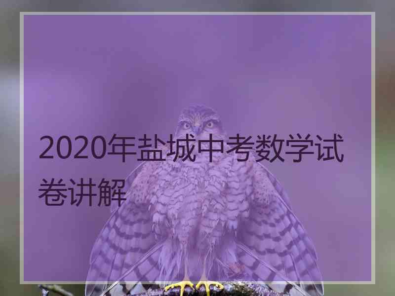 2020年盐城中考数学试卷讲解