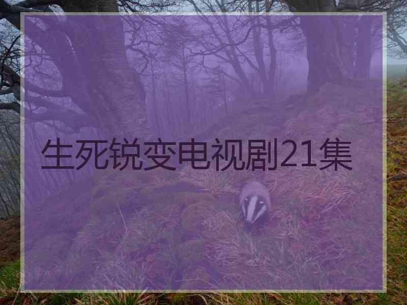 生死锐变电视剧21集