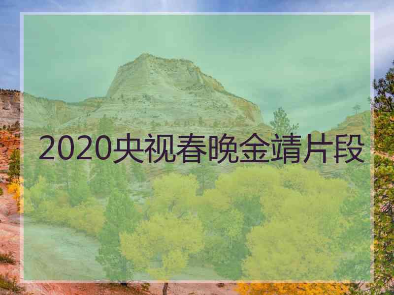 2020央视春晚金靖片段