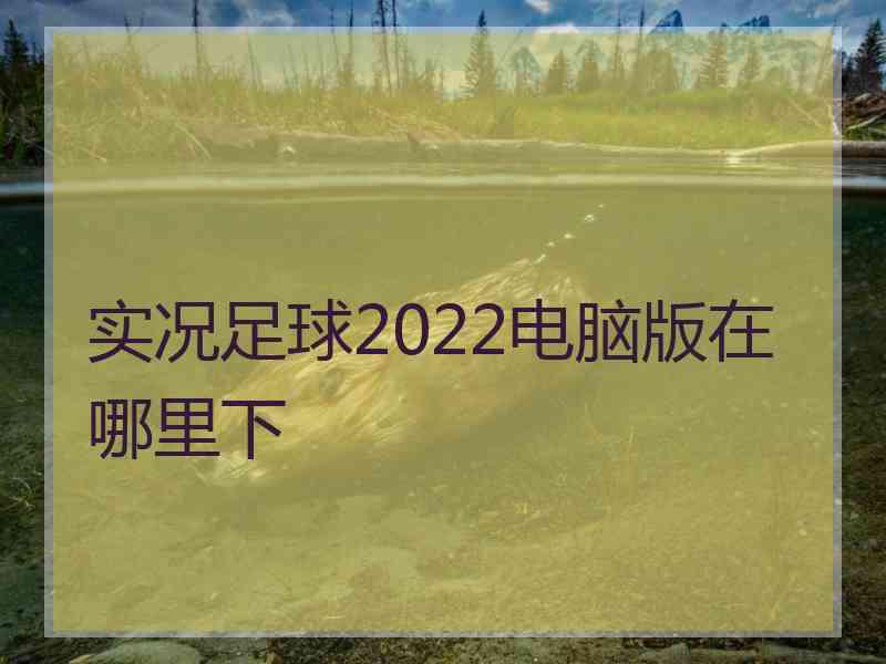 实况足球2022电脑版在哪里下