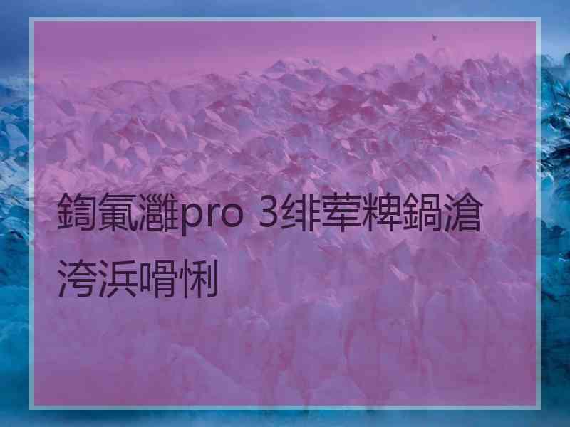 鍧氭灉pro 3绯荤粺鍋滄洿浜嗗悧