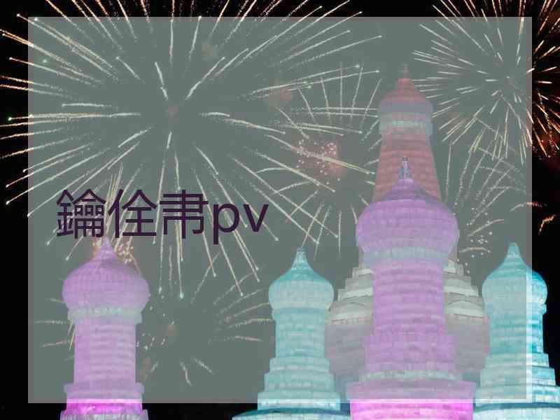 鑰佺帇pv