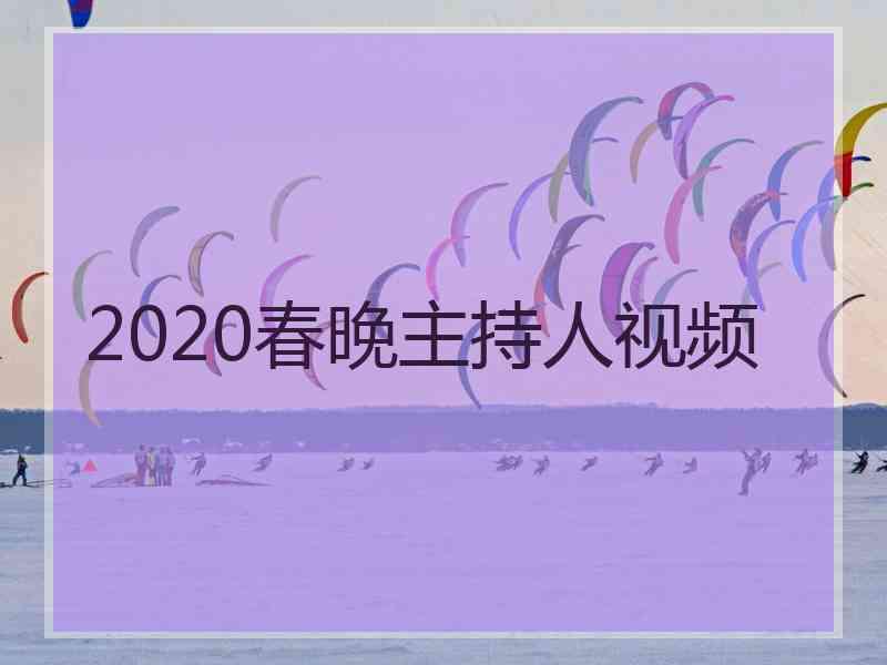 2020春晚主持人视频