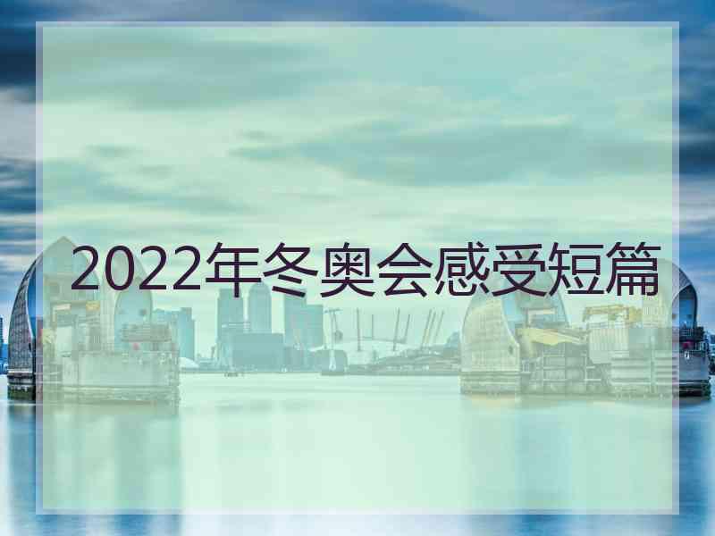 2022年冬奥会感受短篇