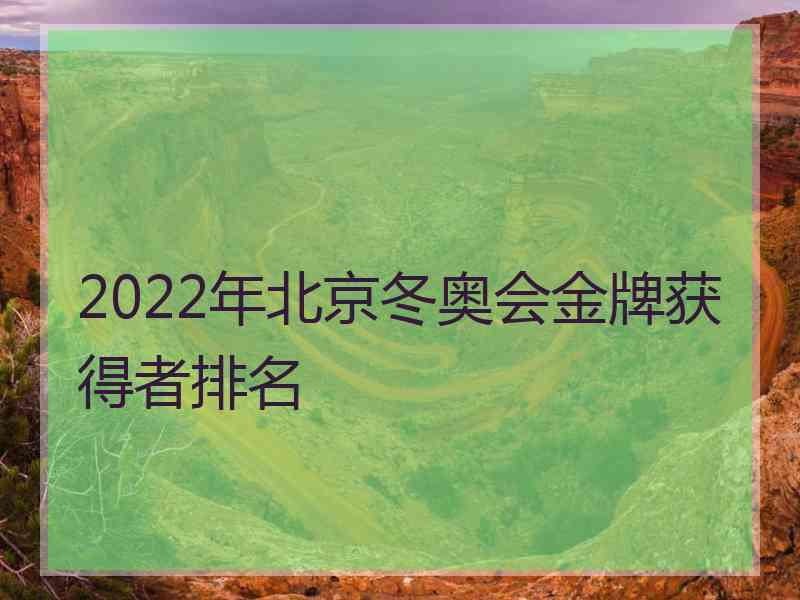 2022年北京冬奥会金牌获得者排名