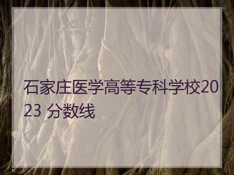 石家庄医学高等专科学校2023 分数线