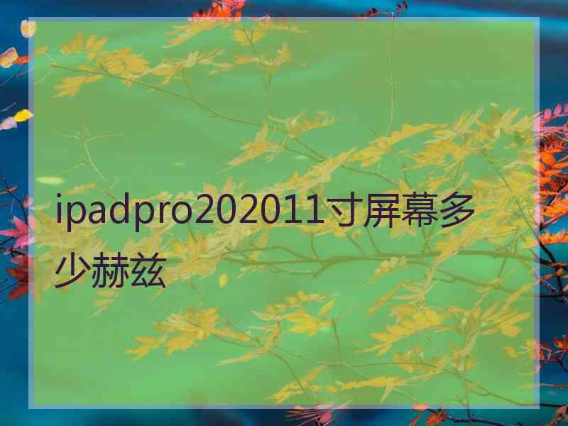 ipadpro202011寸屏幕多少赫兹