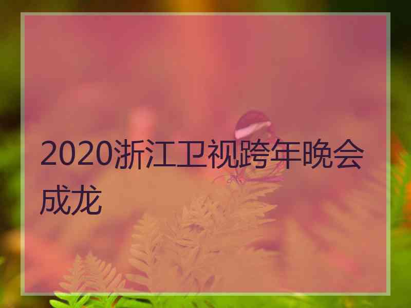 2020浙江卫视跨年晚会成龙