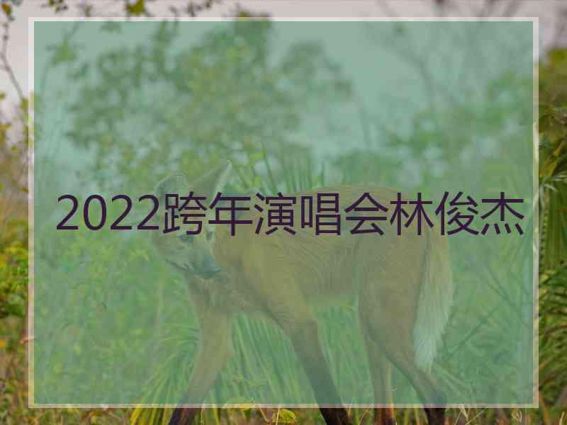 2022跨年演唱会林俊杰