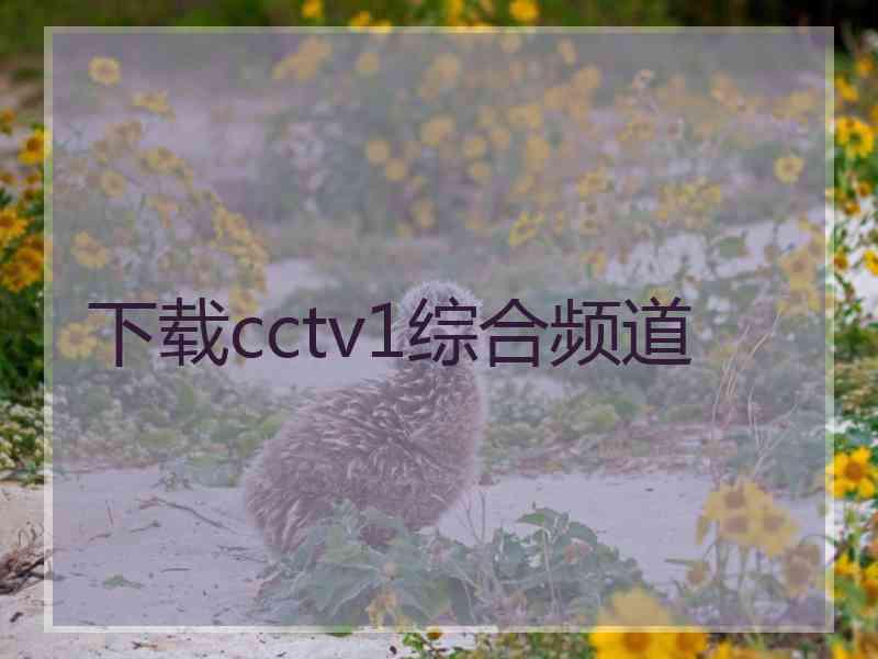 下载cctv1综合频道