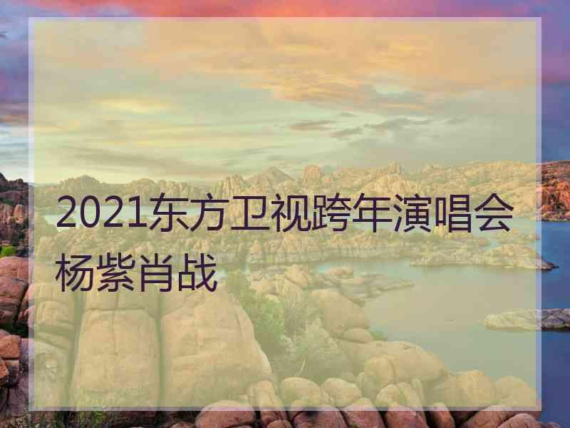 2021东方卫视跨年演唱会杨紫肖战