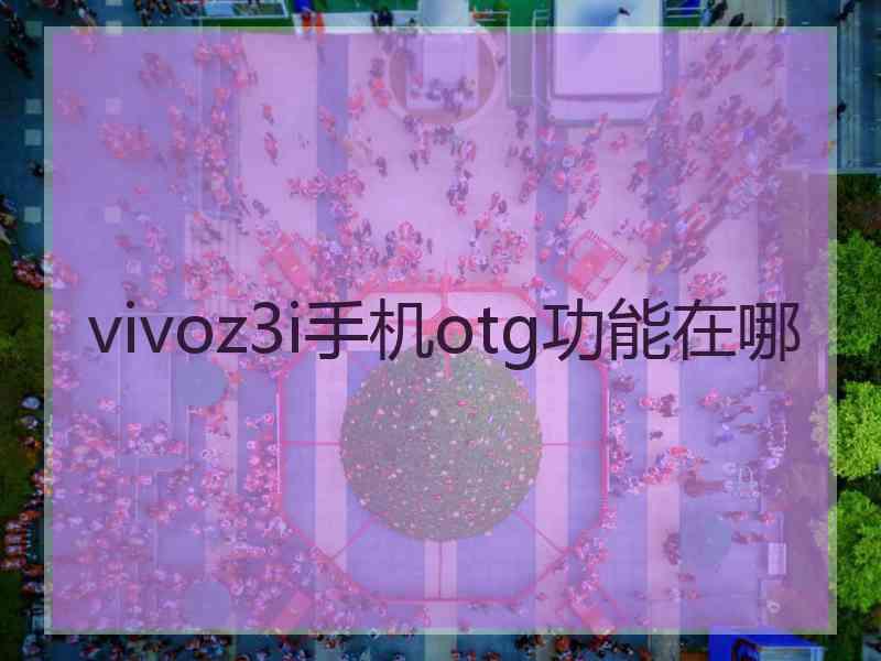 vivoz3i手机otg功能在哪