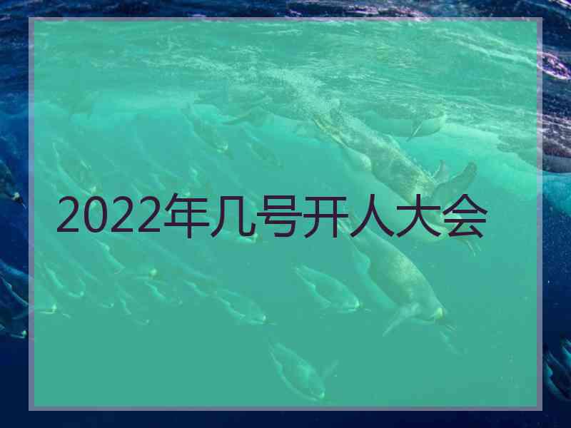 2022年几号开人大会